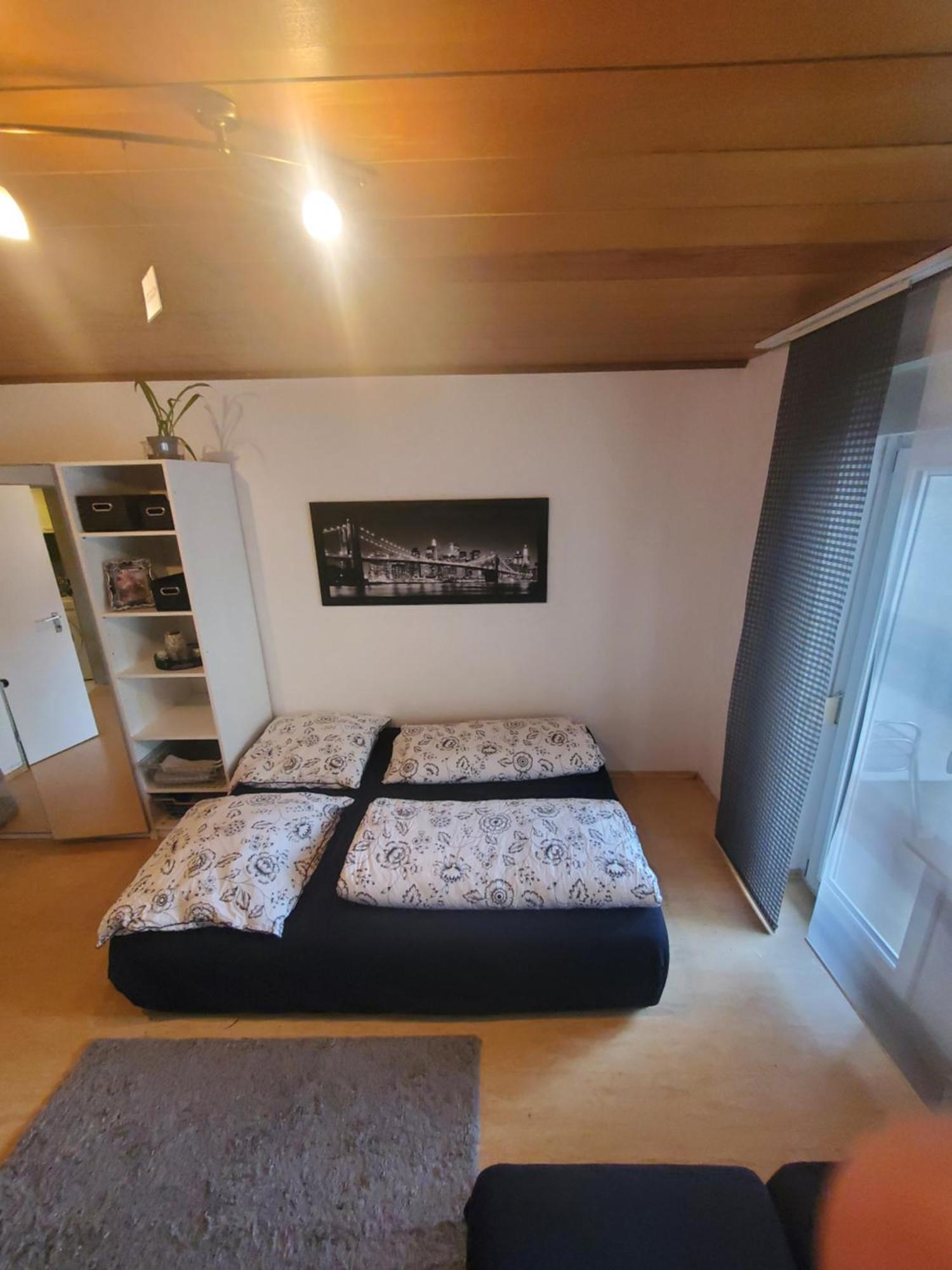 Einzimmerwohnungmit Grossem Balkon Mietersheim 외부 사진